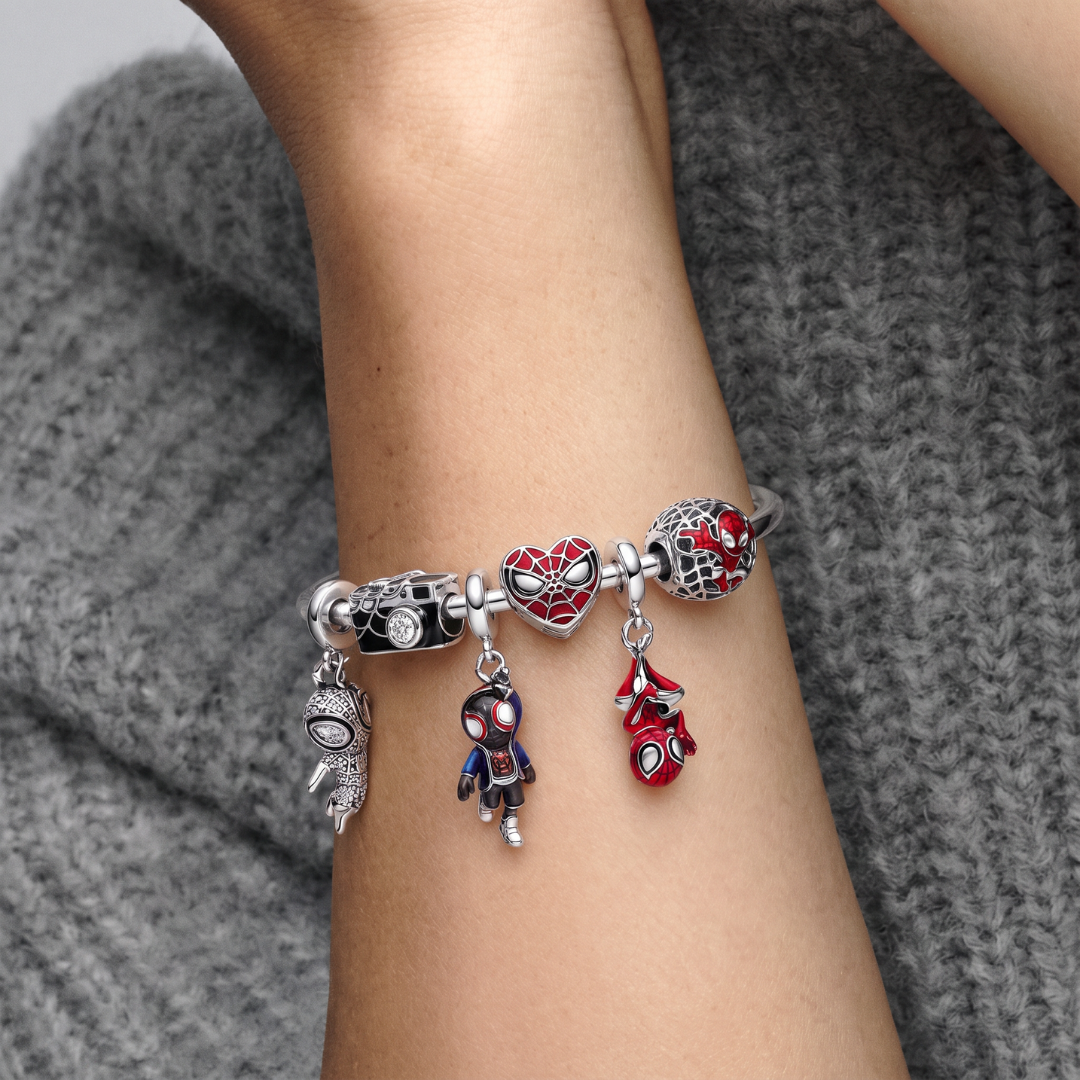 Silver 925 Charm Bracelet | Brand New Day Edition